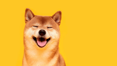 Is My Dog Happy? A Guide to Putting a Smile on Your Dog’s Face