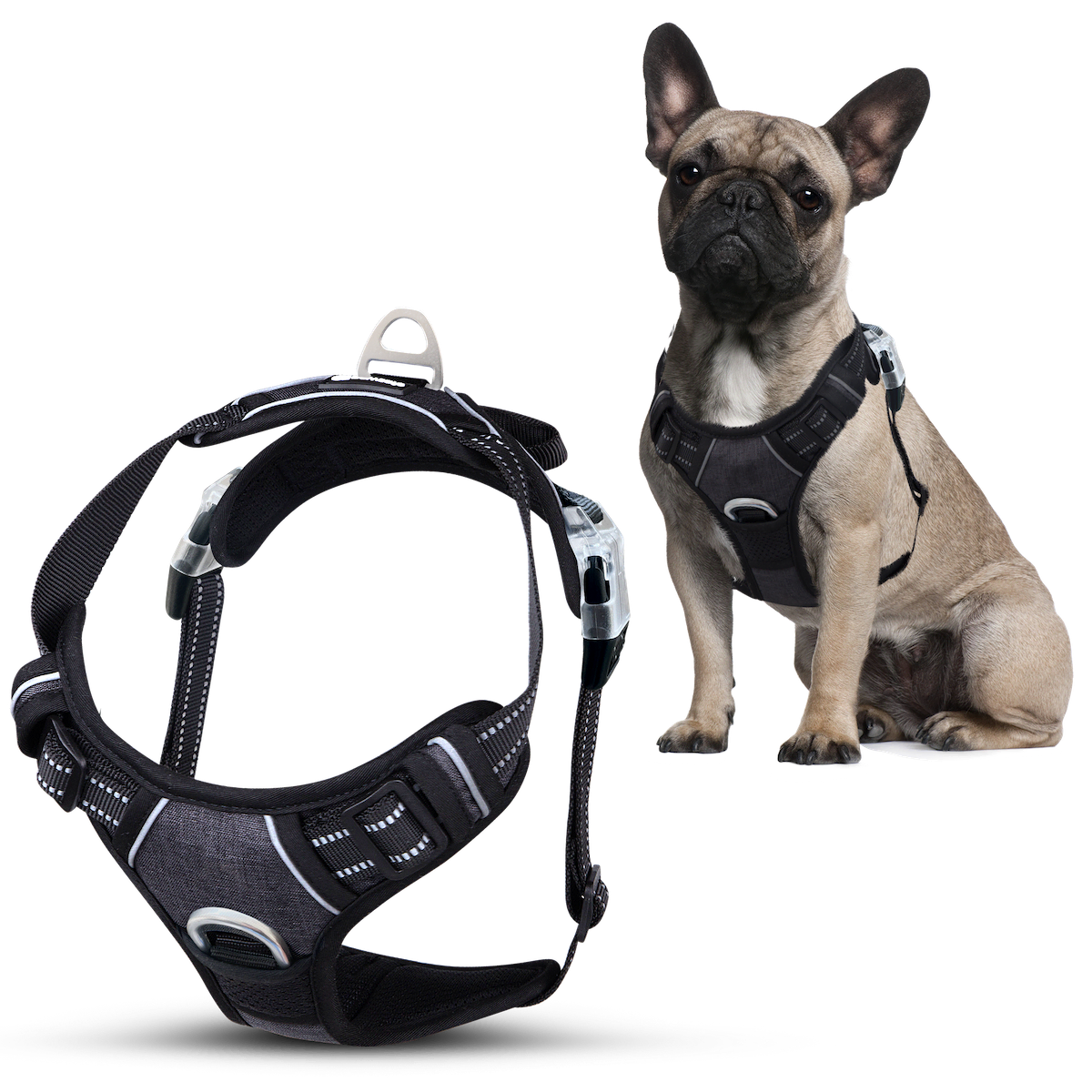 Image showcasing No Pull Dog Harness For Medium Dogs (28-50lbs) - Best Dog Harness For ...