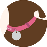 Attach ID Tags