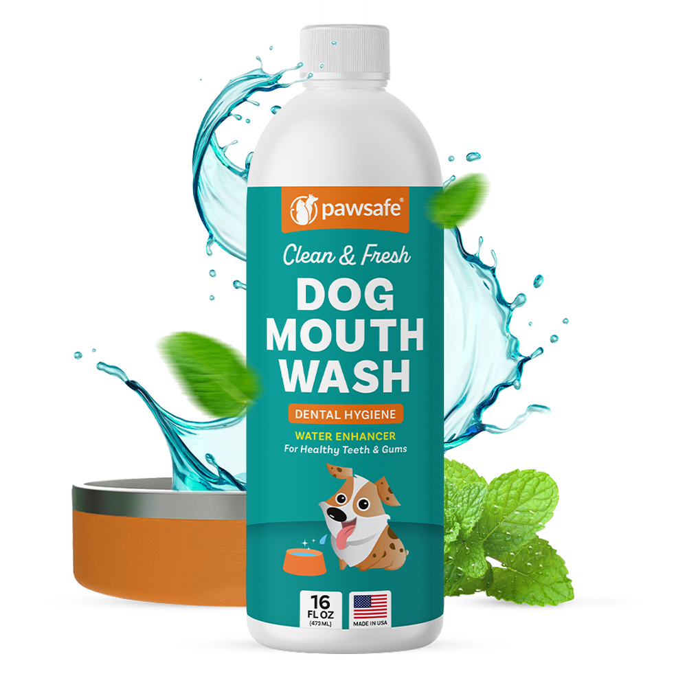Canine mouthwash top