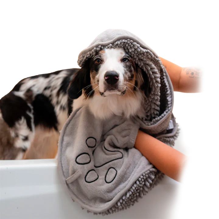 Shammy towel for dogs sale