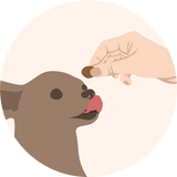 Turn It Into a Treat