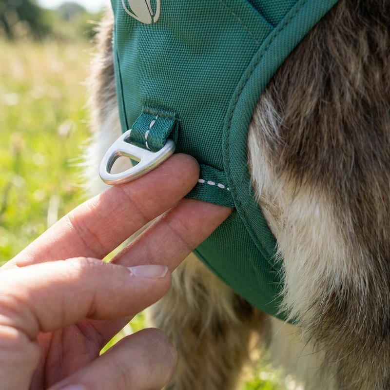Two fingers slipped under the chest strap of an Ever Green PawSafe harness to check a snug, safe fit