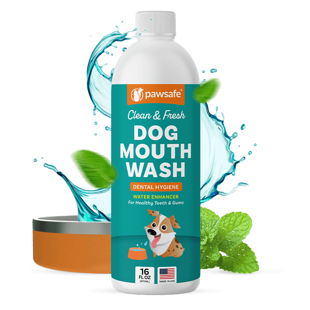 Fresh Breath The Easy Way