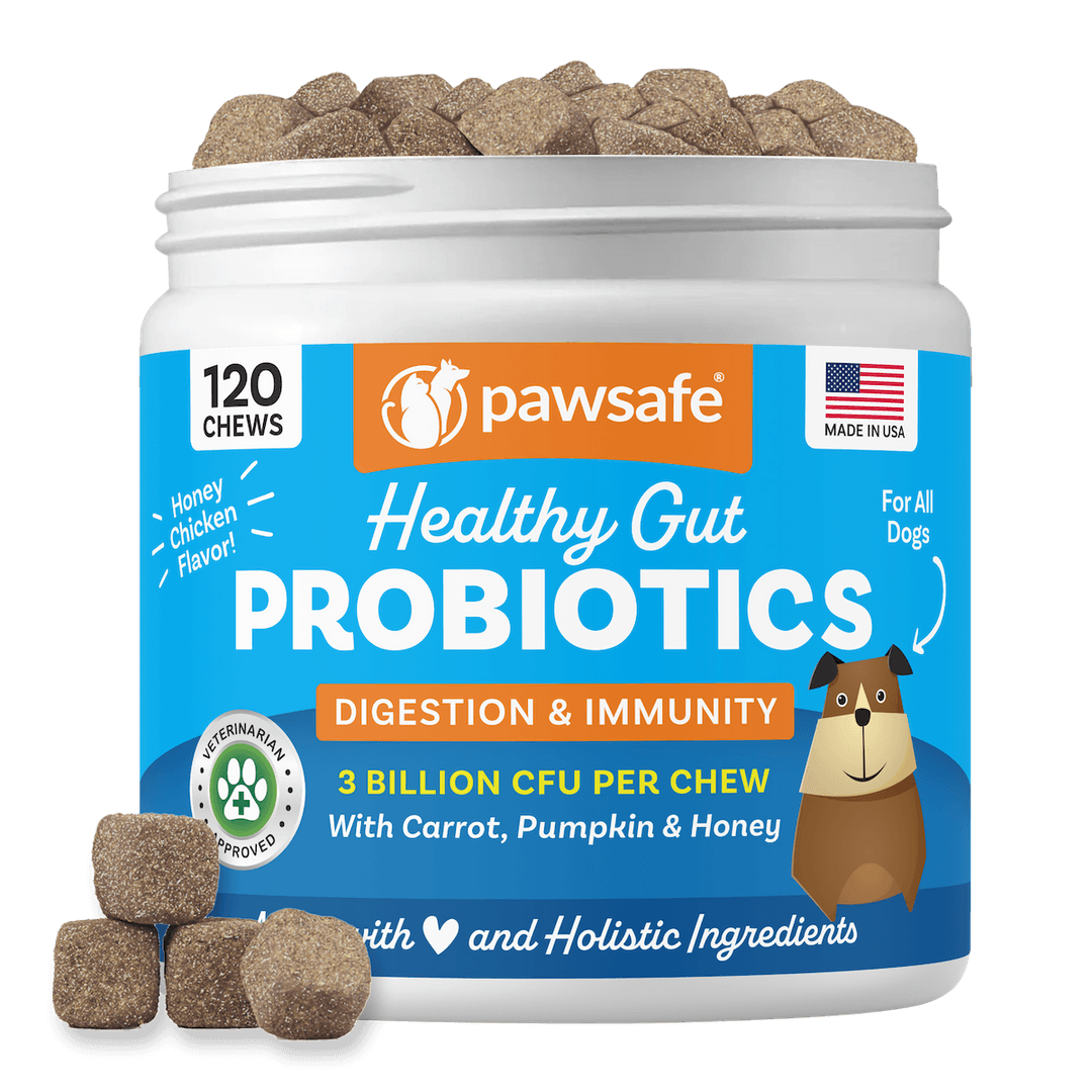 Daily Support For Healthy Digestion