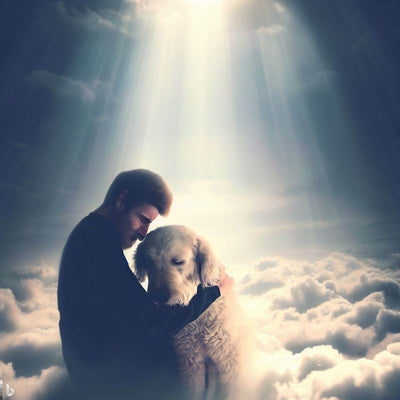 Coping with Dog Loss: What to Do When Your Pet Dies