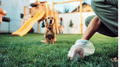 Why Is My Dog’s Poop Soft? Possible Causes And Solutions