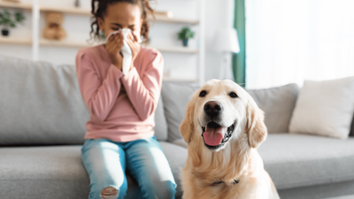 Can Dogs Tell When You’re Sick? Asked & Answered