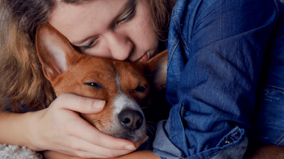 Do Dogs Know When They’re Dying? Signs of a Final Farewell