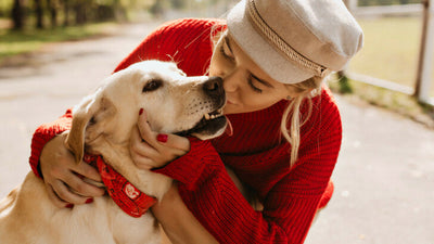 Do Dogs Like Kisses? How to Show Affection to Your Pet