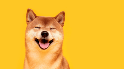 Is Your Dog Happy? Signs and Tips for a Joyful Canine