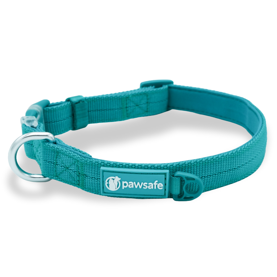 Pawsafe flea and tick collar hotsell