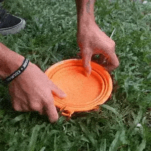 Collapsible dog bowl animation