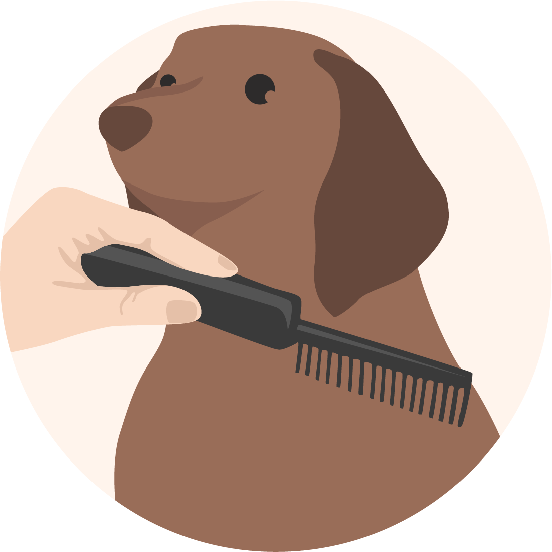 Pawsafe best sale toothbrush reviews