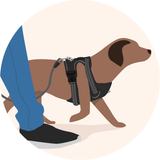 Enjoy a Stress-Free Stroll