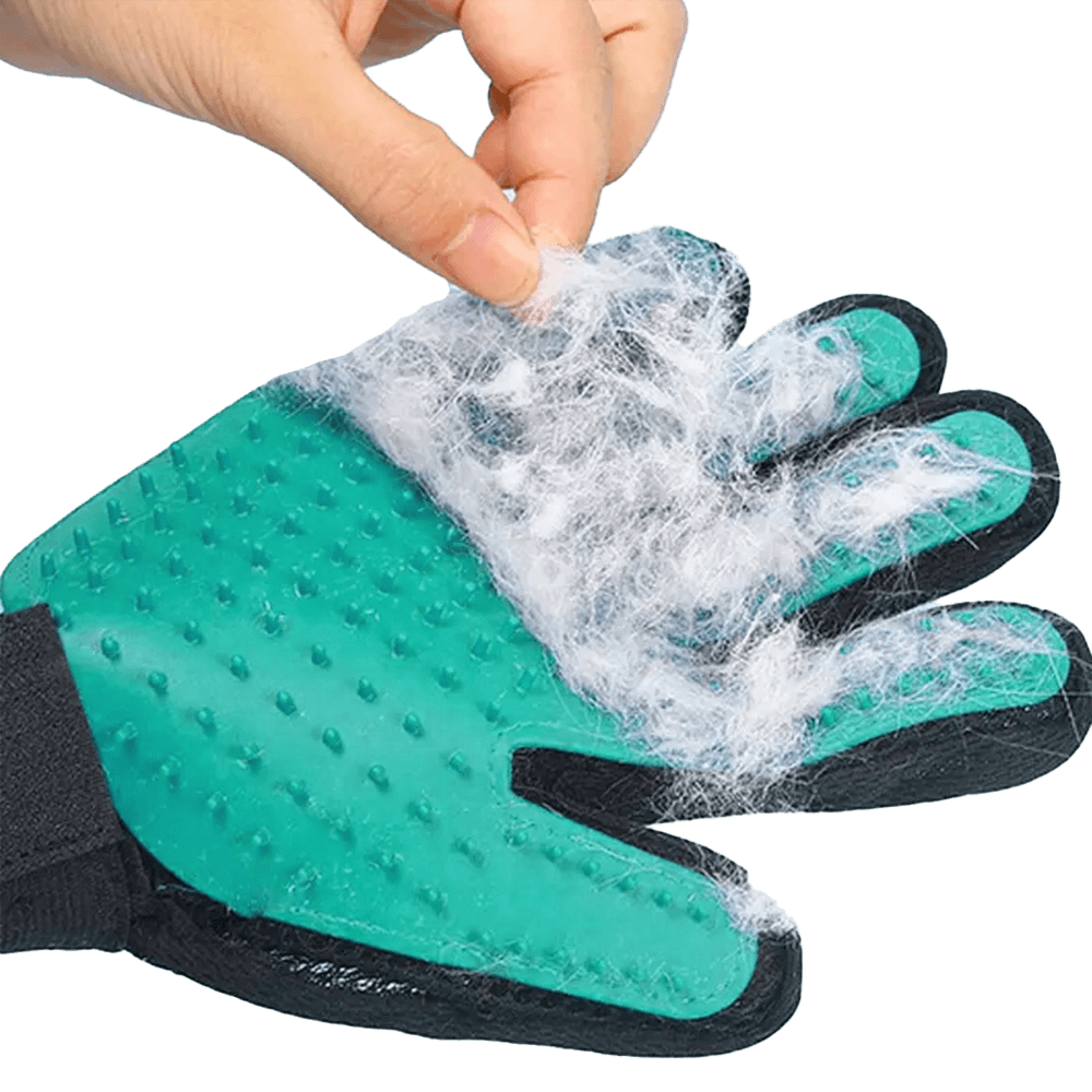 Grooming Glove