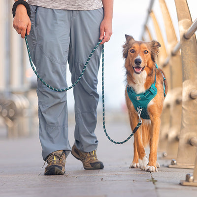 Steady+Style Rope Leash