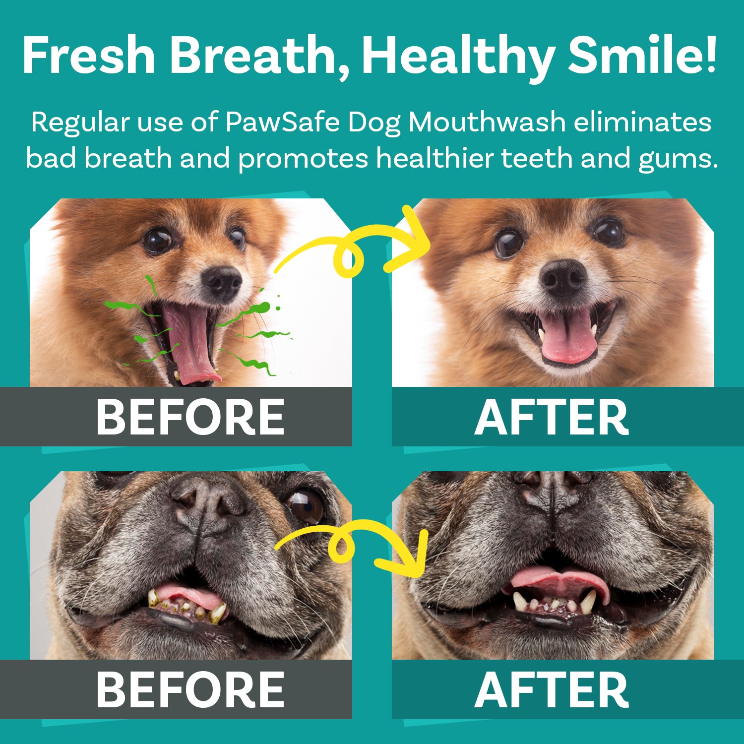 Dog Mouthwash