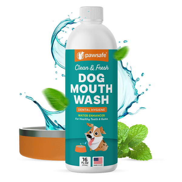 Dental mouthwash outlet for dogs