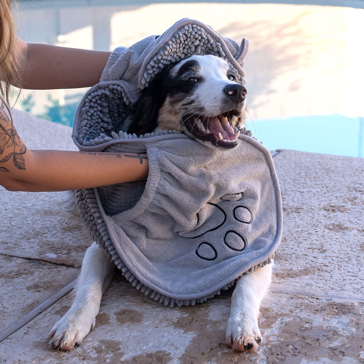 Shammy Dog Towel