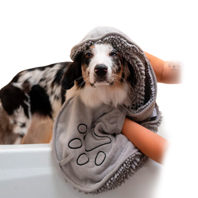 Shammy Dog Towel