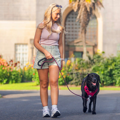 Steady+Style No Pull Harness