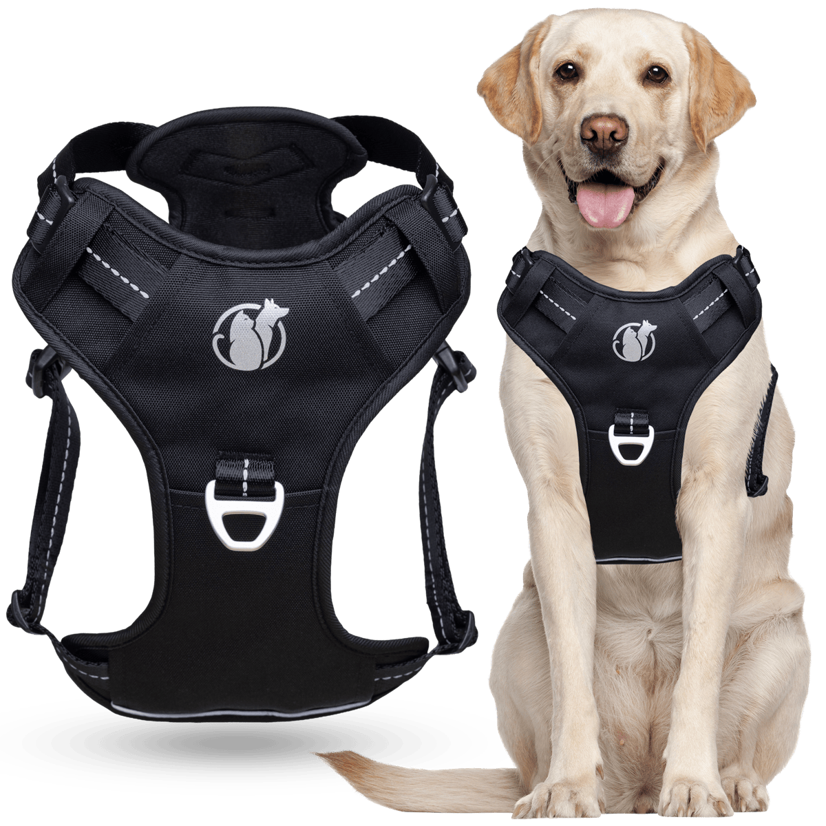 Steady+Style No Pull Harness