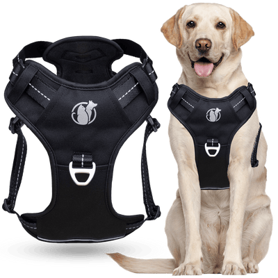 Steady+Style No Pull Harness