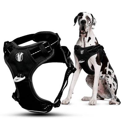 Steady+Style No Pull Harness