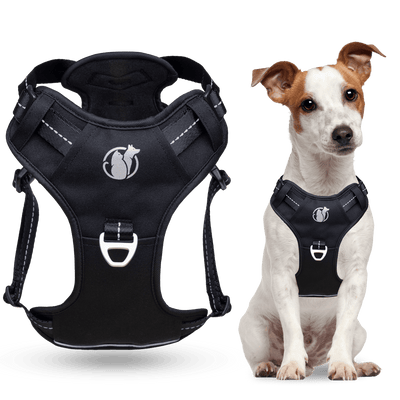 Steady+Style No Pull Harness