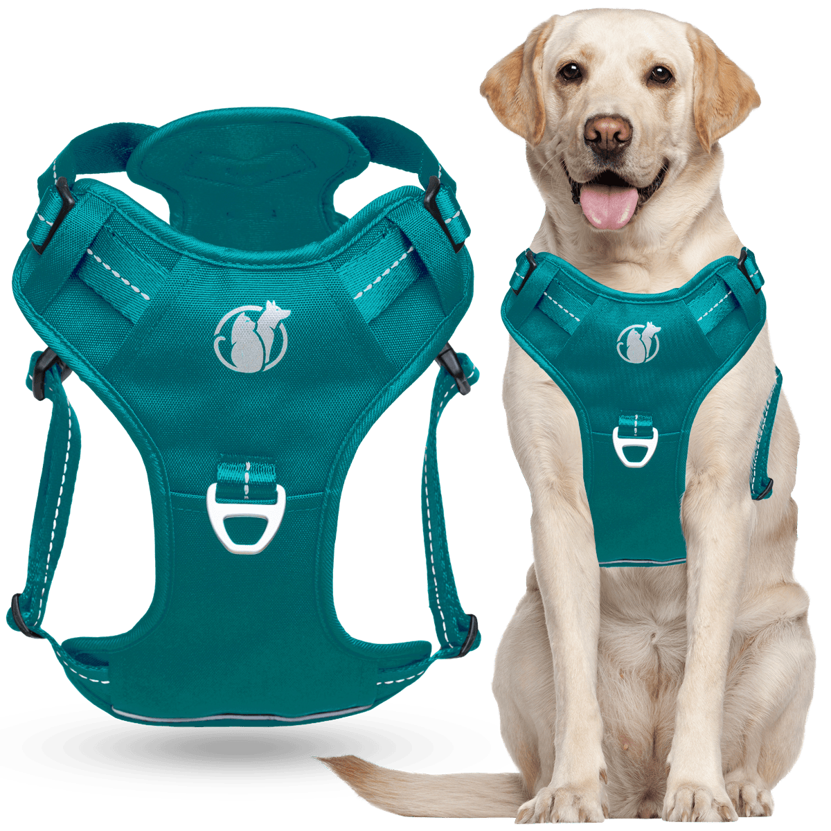 Steady+Style No Pull Harness