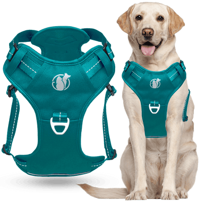 Steady+Style No Pull Harness