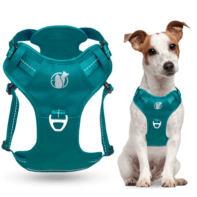 Steady+Style No Pull Harness