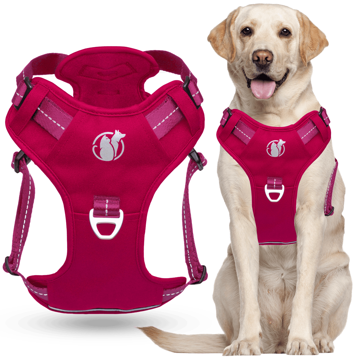 Steady+Style No Pull Harness