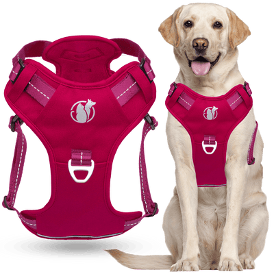 Steady+Style No Pull Harness