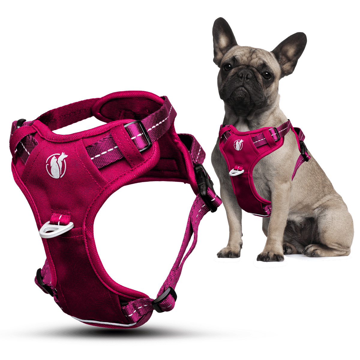 Steady+Style No Pull Harness