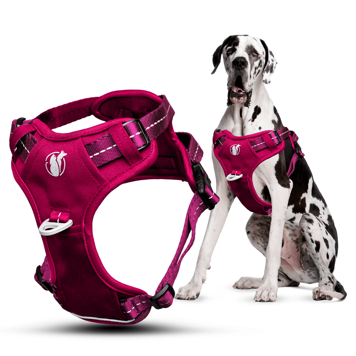 Steady+Style No Pull Harness