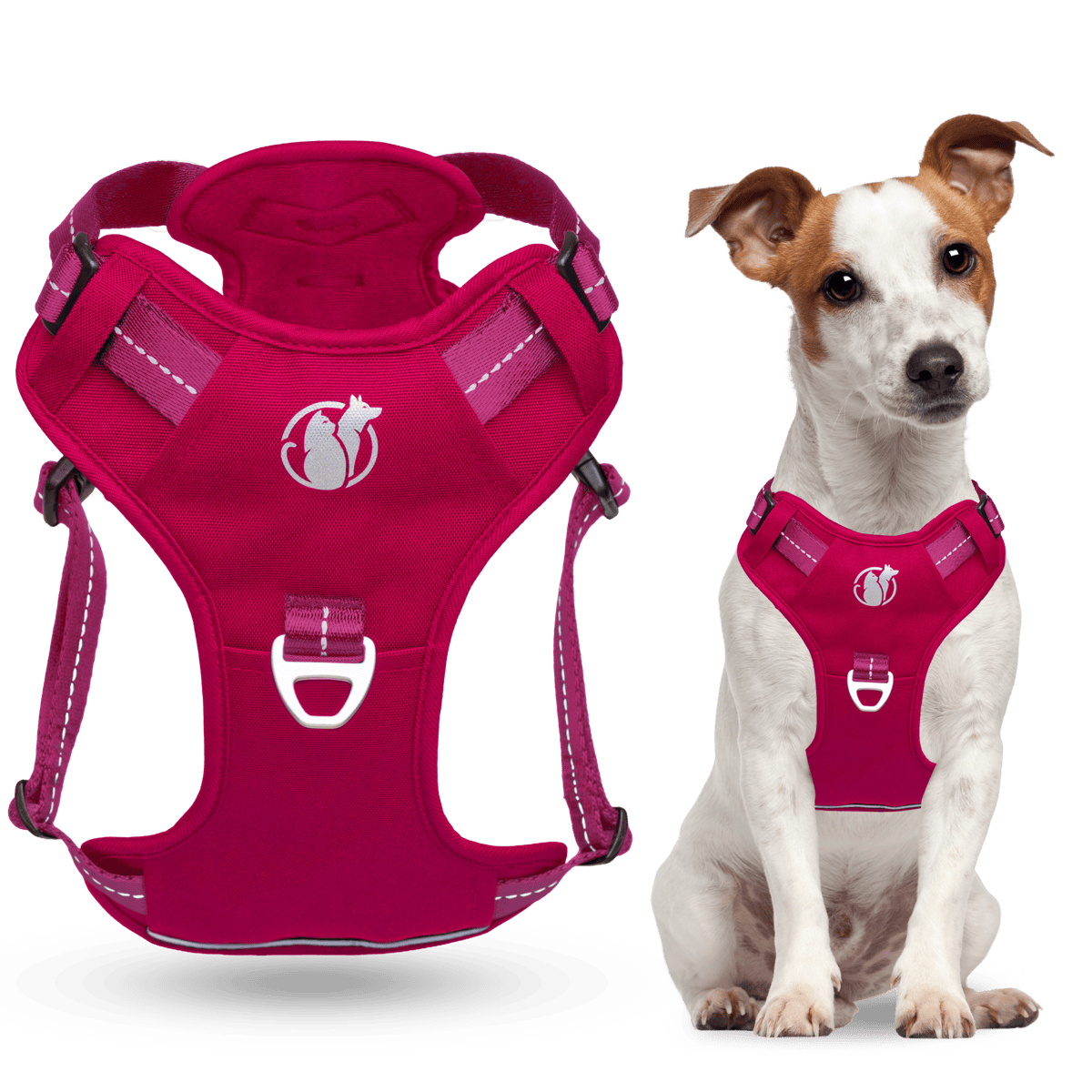 Steady+Style No Pull Harness