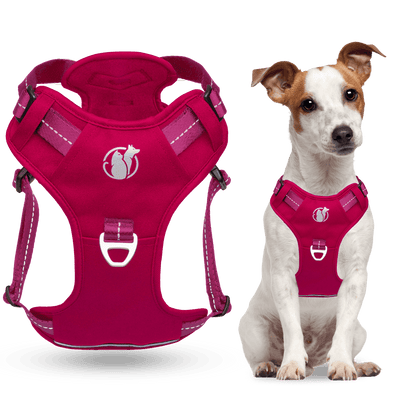 Steady+Style No Pull Harness