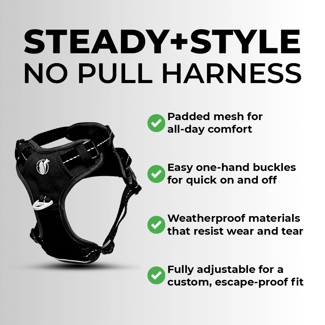 Triple-layer mesh construction and Duraflex buckles on the PawSafe harness