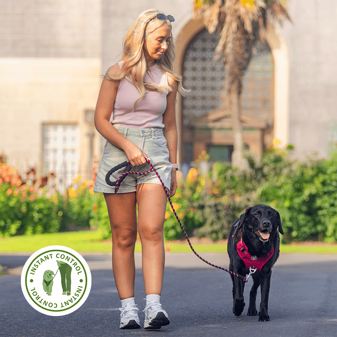 Reinforced padded handle gives instant control on a busy sidewalk