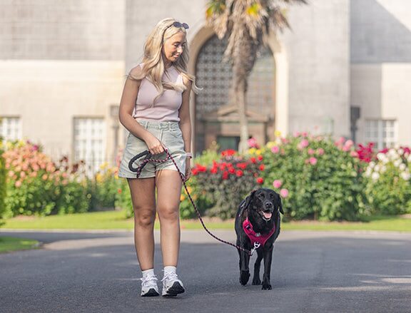 How to use the Steady+Style harness for best results
