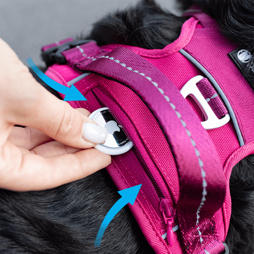 Hidden zip pocket on the harness that fits an Apple AirTag
