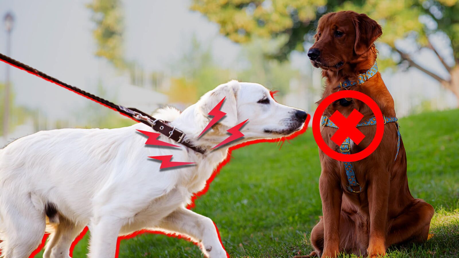 Common anti-pull solutions vs. the PawSafe front-clip harness