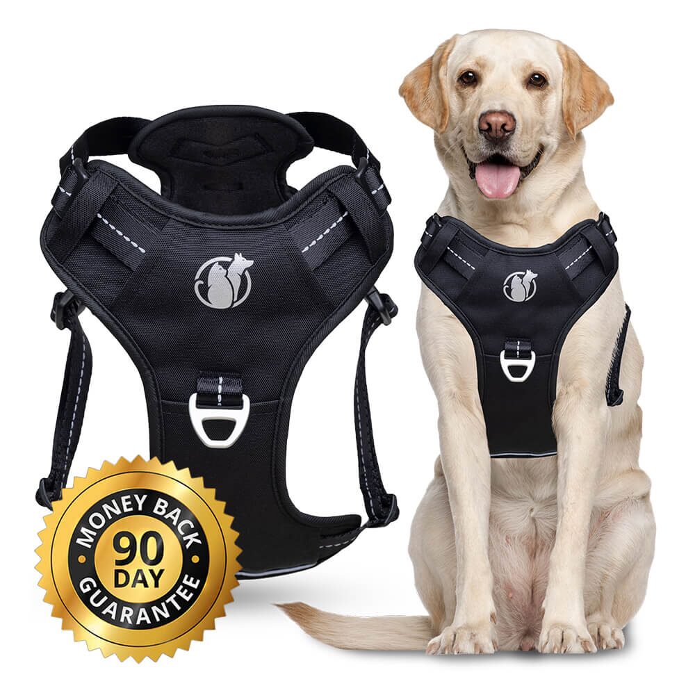 90-day Better Walk guarantee