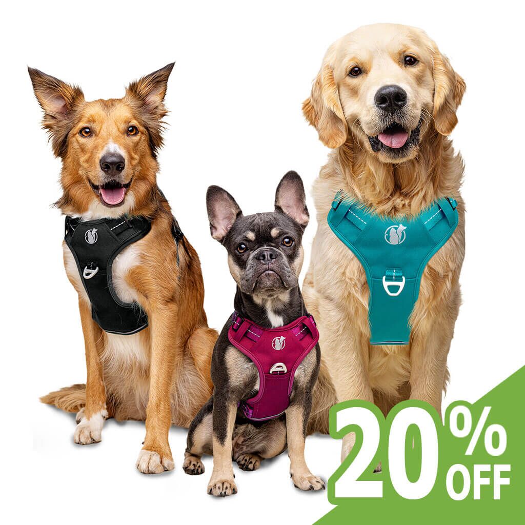 20% OFF PawSafe Steady+Style harness with a FREE rope leash