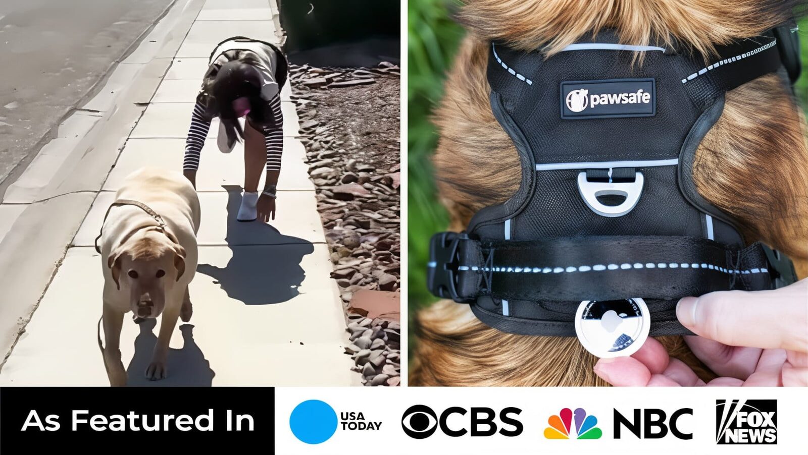 Dog wearing the PawSafe Steady+Style harness with the hidden AirTag pocket