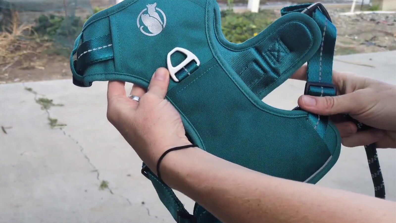 How to order the PawSafe Steady+Style harness