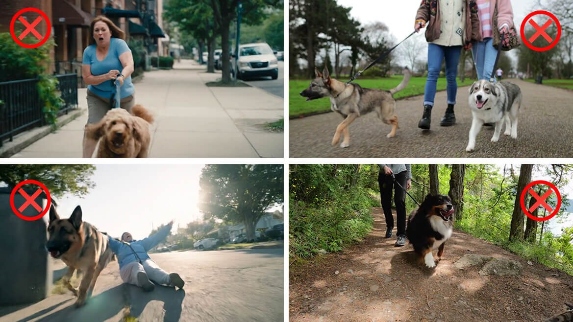 Imagine looking forward to walks again