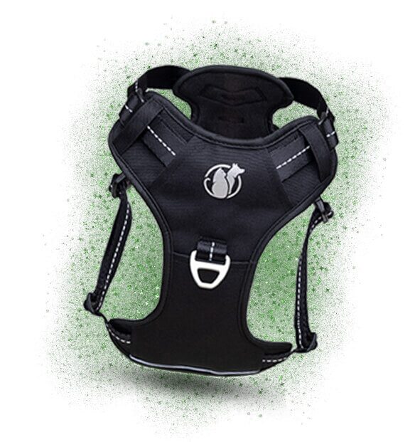 The PawSafe Steady+Style Harness with front chest clip and padded comfort panels